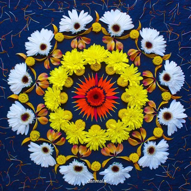 هنرنمایی های شگفت انگیز با گل توسط دان مالا